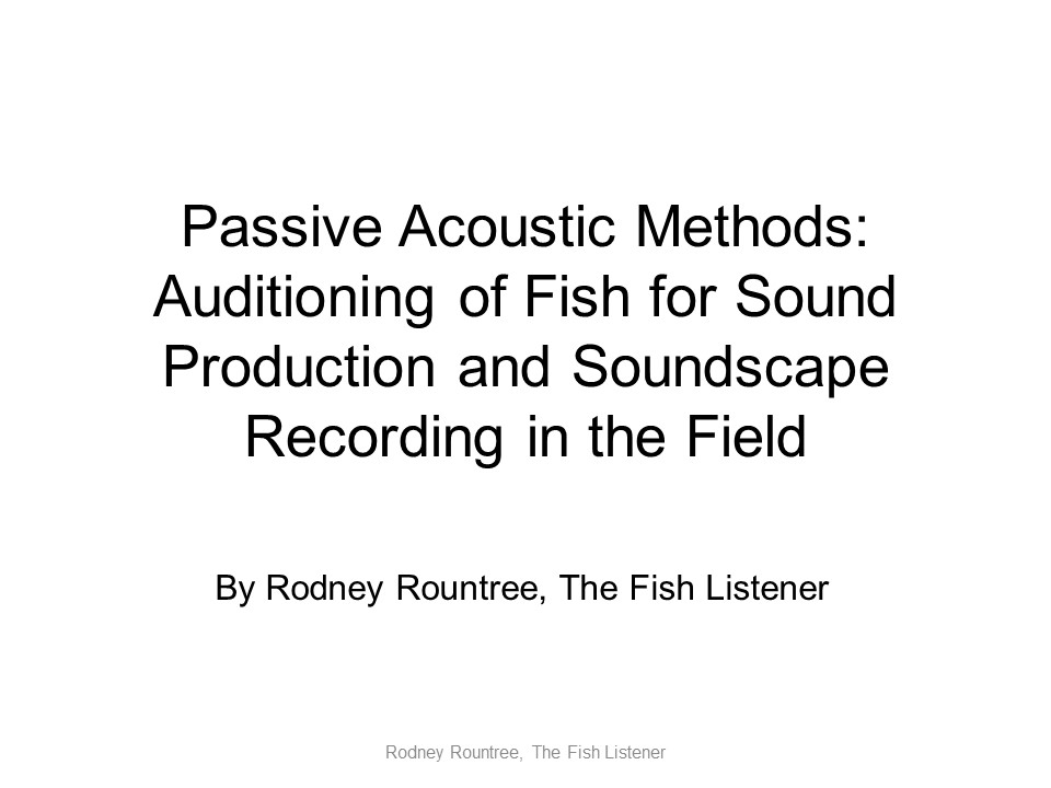 How to Listen to Fish